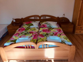 Apartment Elli, Frantiskovy Lazne